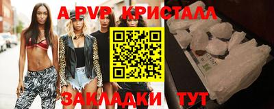PSILOCYBIN Камышлов