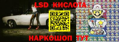 кокс Кингисепп